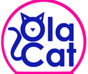 Ola Cat Arena para Gatos
